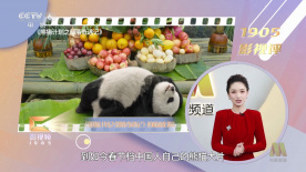 91大神在线精品播放